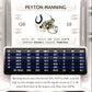 2009 Playoff Prestige Peyton Manning