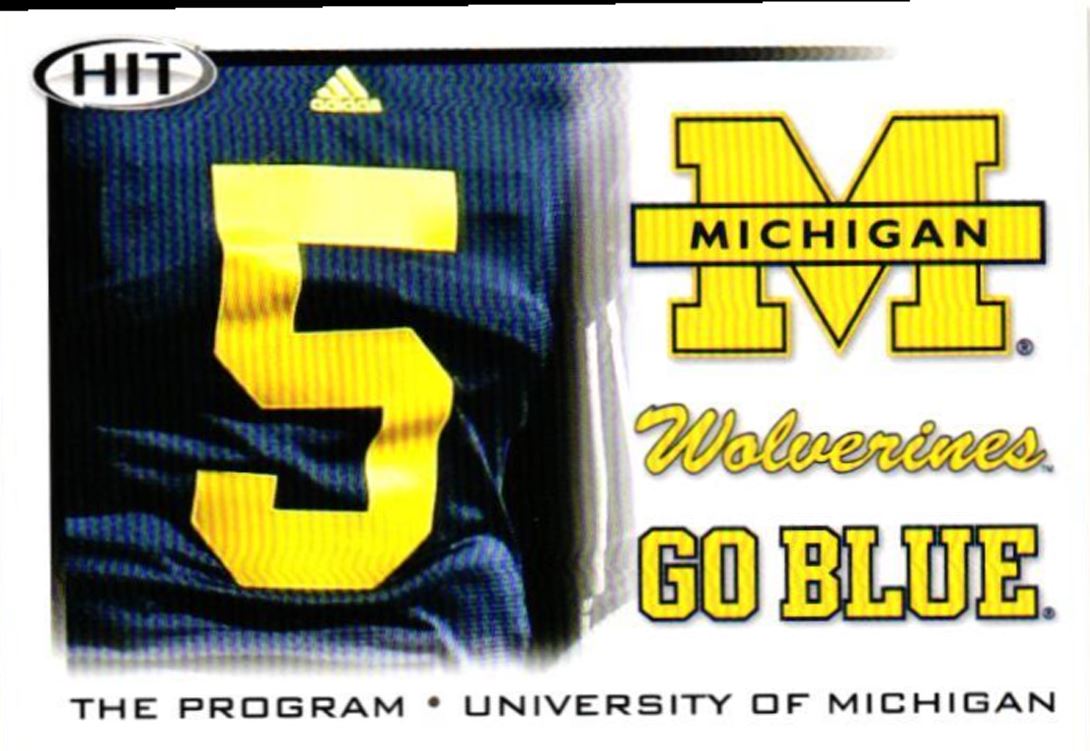 2010 SAGE HIT Michigan Program