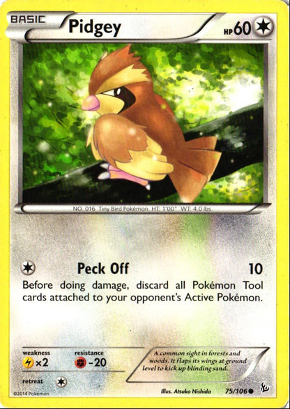 2014 XY - Flashfire Pidgey