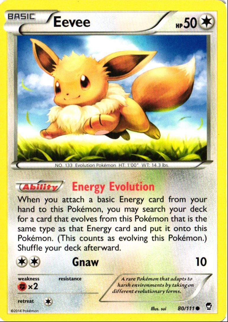 2014 XY - Furious Fists Eevee