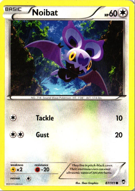 2014 XY - Furious Fists Noibat