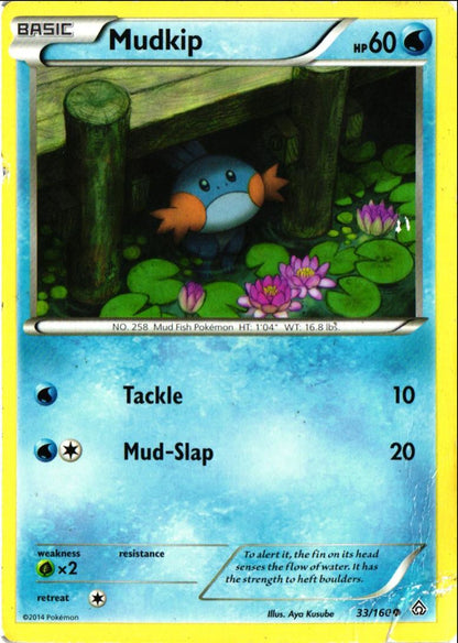 2015 XY - Primal Clash Mudkip