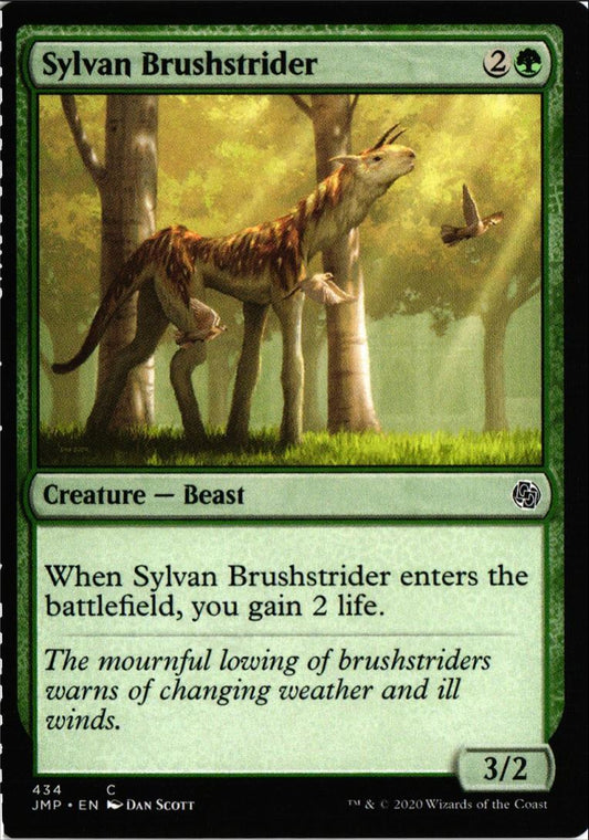 2020 Jumpstart Sylvan Brushstrider